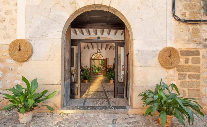 Sóller: Olive Oil Guided Tour and Tasting at Can Det Estate - What to Expect from the Can Det Estate Tour