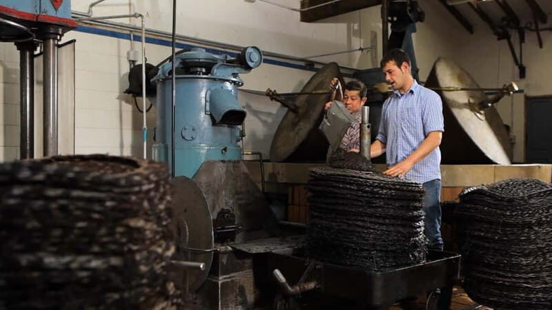 Sóller: Olive Oil Guided Tour and Tasting at Can Det Estate - Authentic Insights from Reviewers