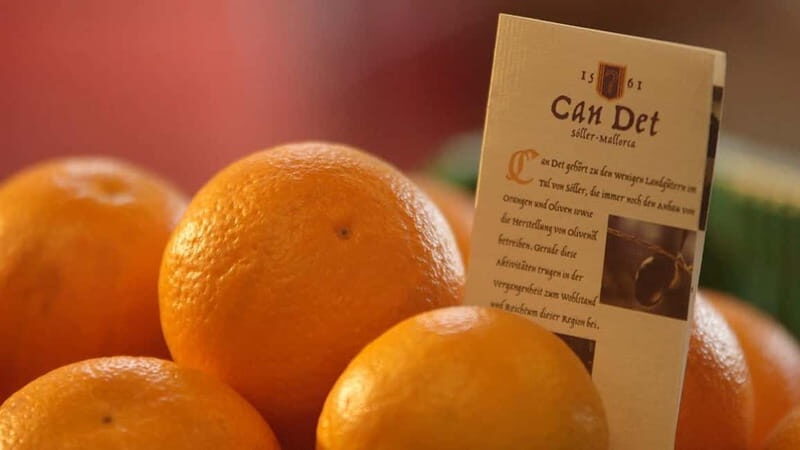 Sóller: Olive Oil Guided Tour and Tasting at Can Det Estate - Is This Tour Worth It?