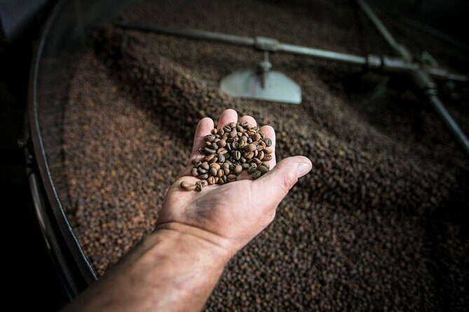 Song of the Sea: Fish, Seafood and Tradition in Lisbons Port Zone - Starting Point: A Flavorful Introduction at Time Out Market Lisboa