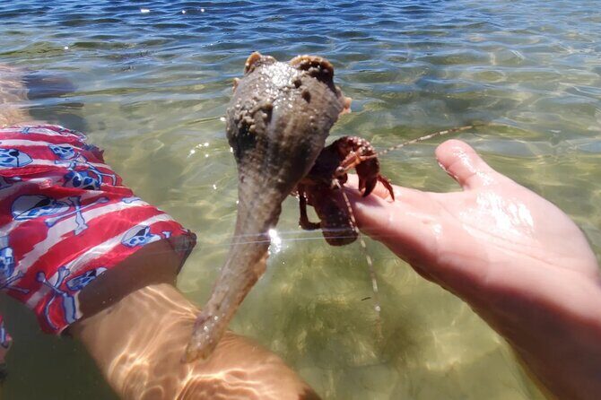 Sonnys Boat Tours Full Day Sand Bar Adventure Englewood, Florida - Final Thoughts