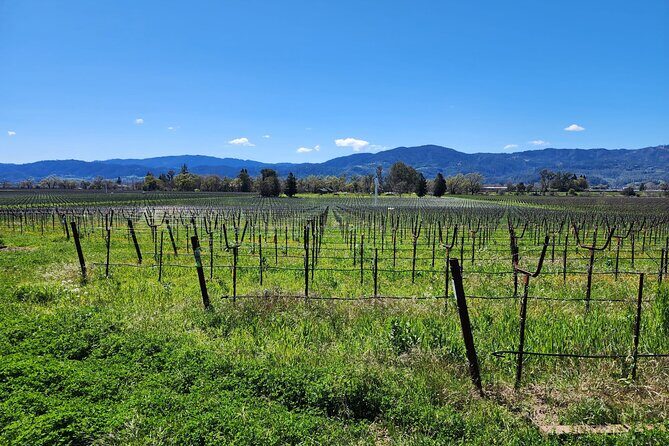 Sonoma and Napa Champagne Wine Private Tour Half Day - Exploring the Itinerary: What to Expect