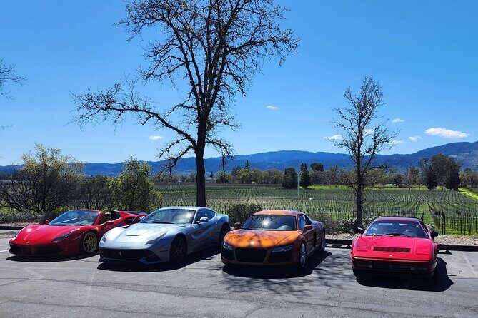 Sonoma and Napa Champagne Wine Private Tour Half Day - Who Should Consider This Tour?