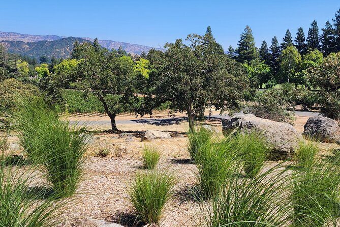 Sonoma and Napa Champagne Wine Private Tour Half Day - FAQs