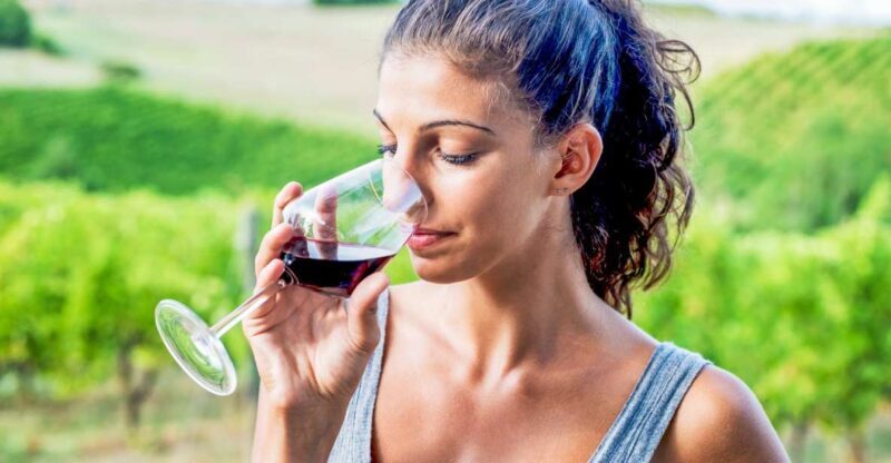 Sonoma County: Tasting Pass (Choose 1, 2, or 90 Days) - The Sum Up