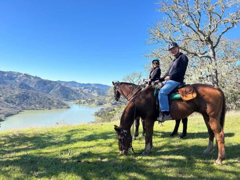 Sonoma County: Wine Country Horseback Riding Adventure - Key Points