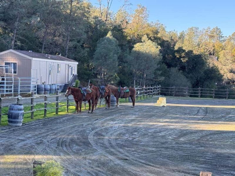 Sonoma County: Wine Country Horseback Riding Adventure - Final Thoughts