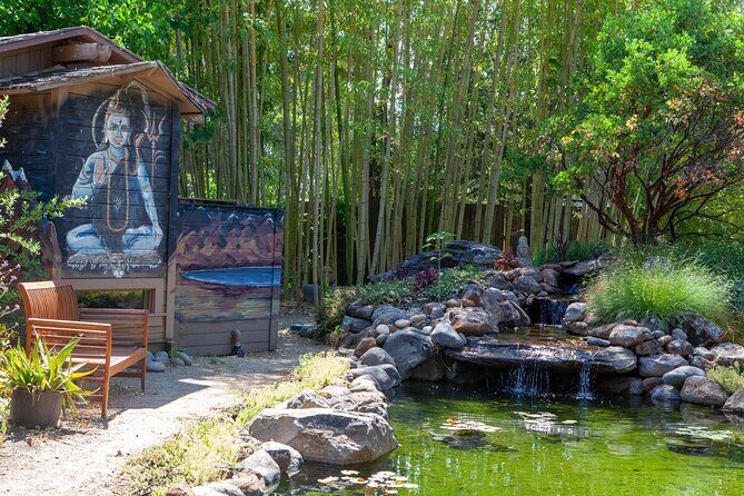 Sonoma Trike and Mindfulness - 3 hour guided tour - An Honest Look at the Experience