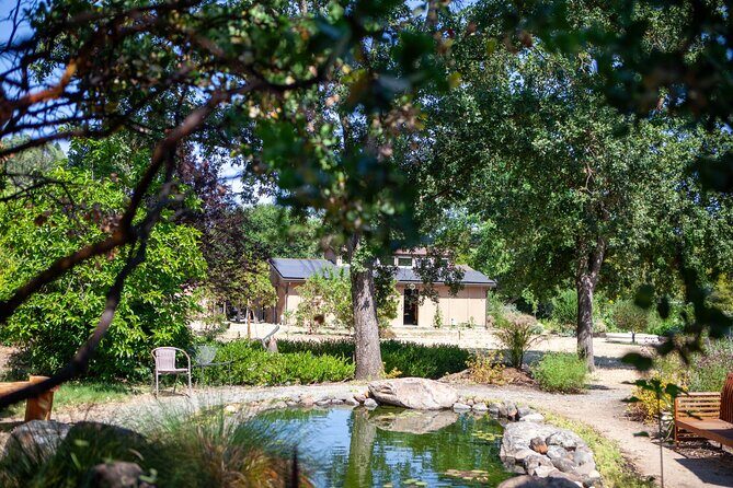 Sonoma Trike and Mindfulness - 3 hour guided tour - Who Will Love This Tour?