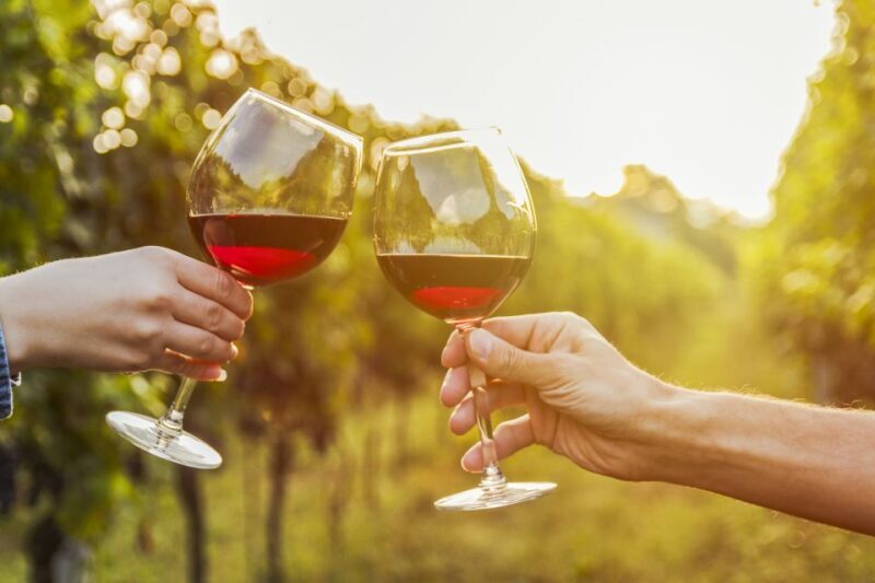 Sonoma Valley: Guided Winery Tour with Picnic Lunch - Final Thoughts