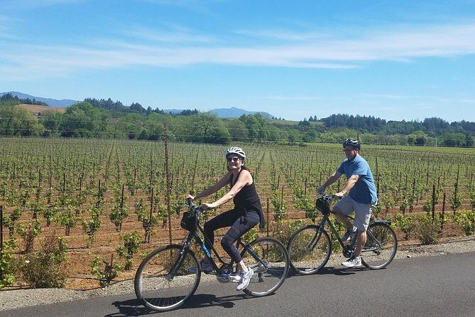 Sonoma Valley Pedal Assist Bike Tour with Lunch - What Sets This Tour Apart?