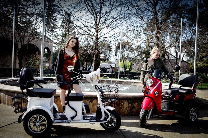 Sonoma Wine Country Electric Trike Tour - 5 hours - Who Would Love This Tour?
