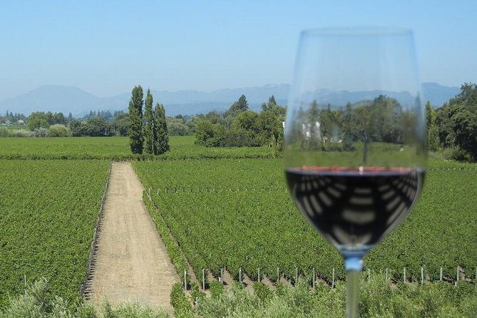 Sonoma Wine Tour with 2 Tastings Included Small-Group Half Day - Key Points