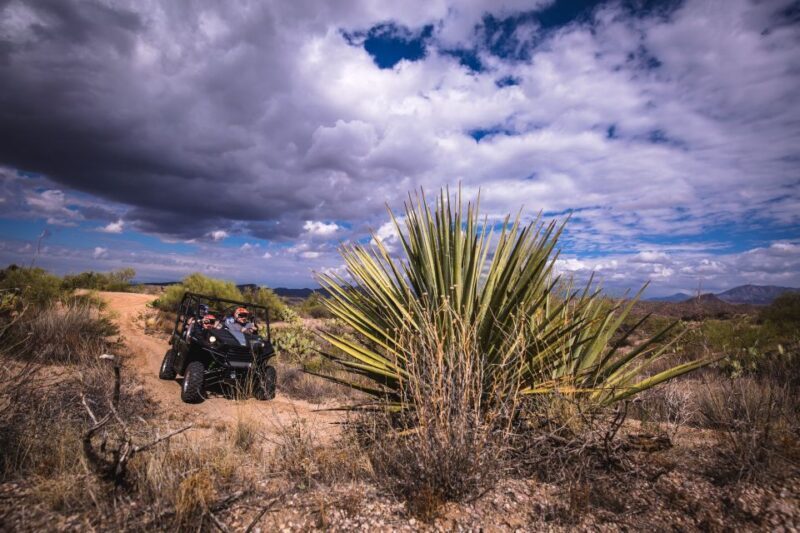 Sonoran Desert: Guided 2-Hour UTV Adventure - FAQs