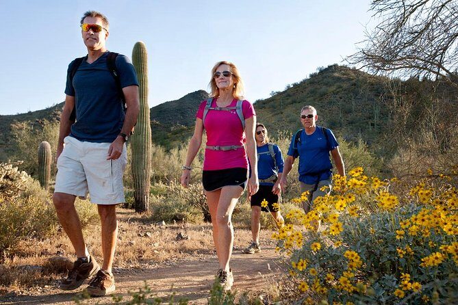 Sonoran Desert Guided Hike - Exploring the Sonoran Desert Guided Hike: A Friendly Review