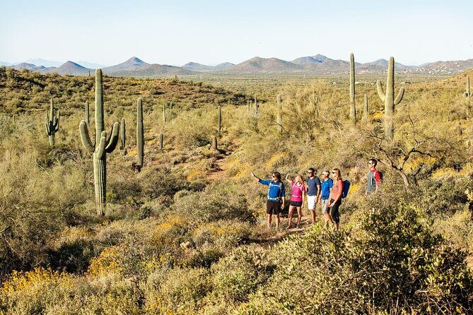 Sonoran Desert Guided Hike - Key Points