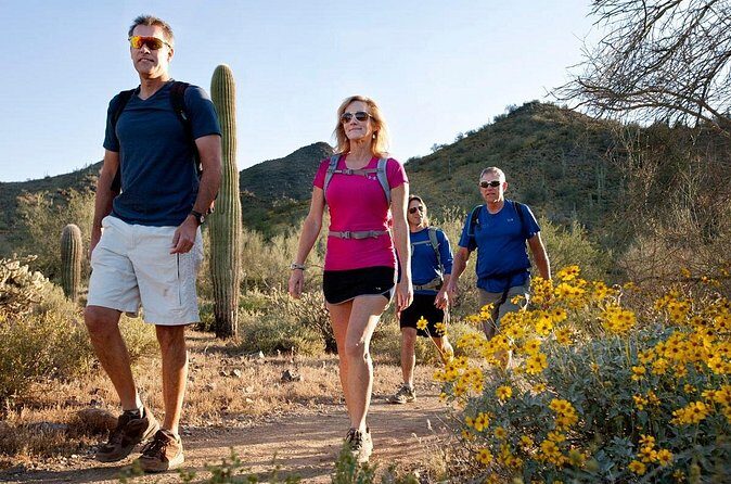 Sonoran Desert Guided Hike - Booking and Practical Info