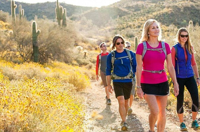 Sonoran Desert Guided Hike - Who Is This Tour Best For?