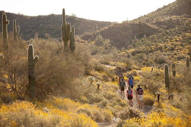 Sonoran Desert Guided Hike - Final Thoughts