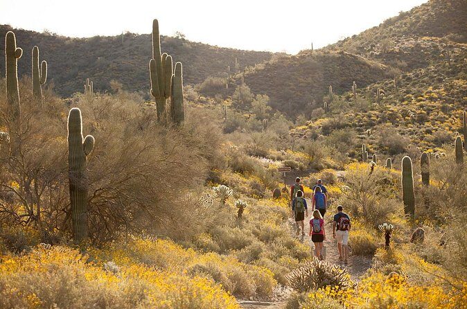 Sonoran Desert Guided Hike - FAQ