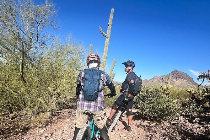 Sonoran Desert Guided Mountain Bike Adventure - Who Is This Tour Best Suited For?