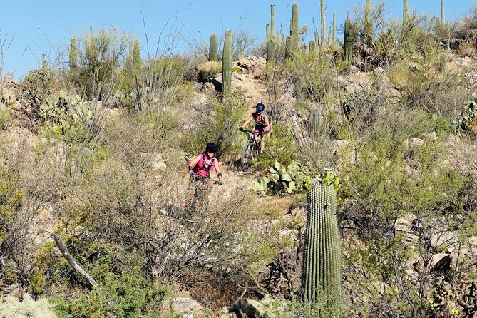 Sonoran Desert Guided Mountain Bike Adventure - Final Recommendations