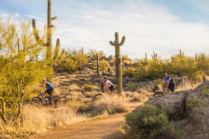 Sonoran Desert Guided Mountain Bike Tour - Deep Dive into the Trail and Experience