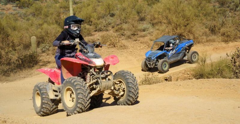 Sonoran Desert: Guided UTV or ATV Desert Tour - What to Expect on the Tour