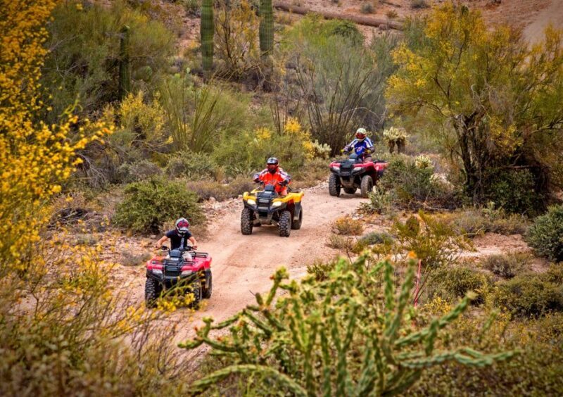 Sonoran Desert: Guided UTV or ATV Desert Tour - The Scenic and Wildlife Highlights