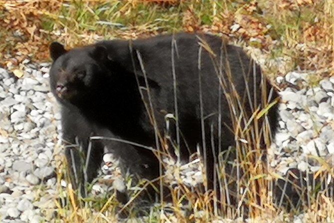 Sooke to Port Renfrew: Wild Pacific Adventure - FAQ