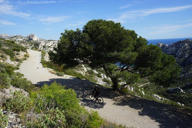 Sormiou Calanques National Park Electric Bike Tour from Marseille - Who Will Love This Tour?
