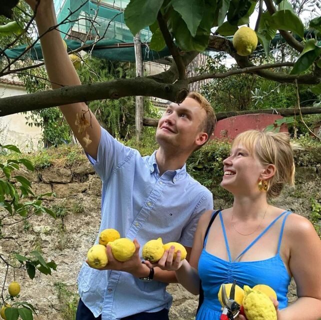 Sorrento: Authentic Lemon Experience in a Farm with Tastings - Who Will Love This Tour?