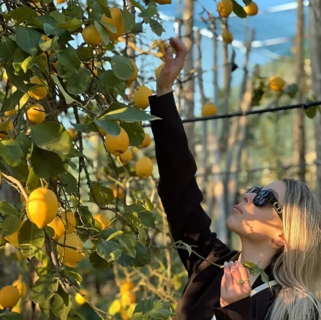 Sorrento: Authentic Lemon Experience in a Farm with Tastings - The Sum Up