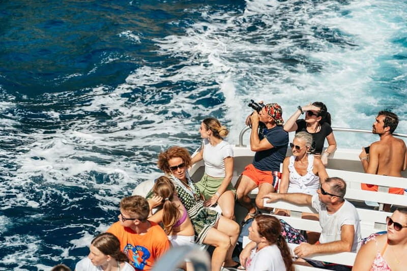 Sorrento: Coast and Capri Boat Trip with Limoncello Tasting - What the Reviews Say