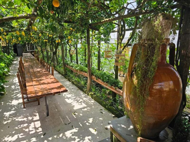 Sorrento Coast E-Bike Tour and Visit at Vinegar Cellar - Practical Details and What to Know Before Booking