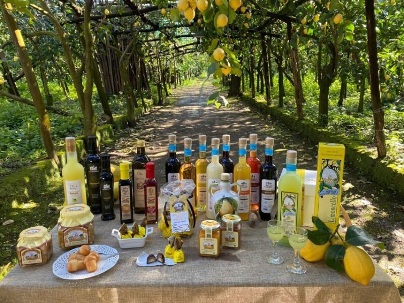 Sorrento: Coast E-Bike Tour with Limoncello Tasting - Safety, Comfort, and Group Dynamics