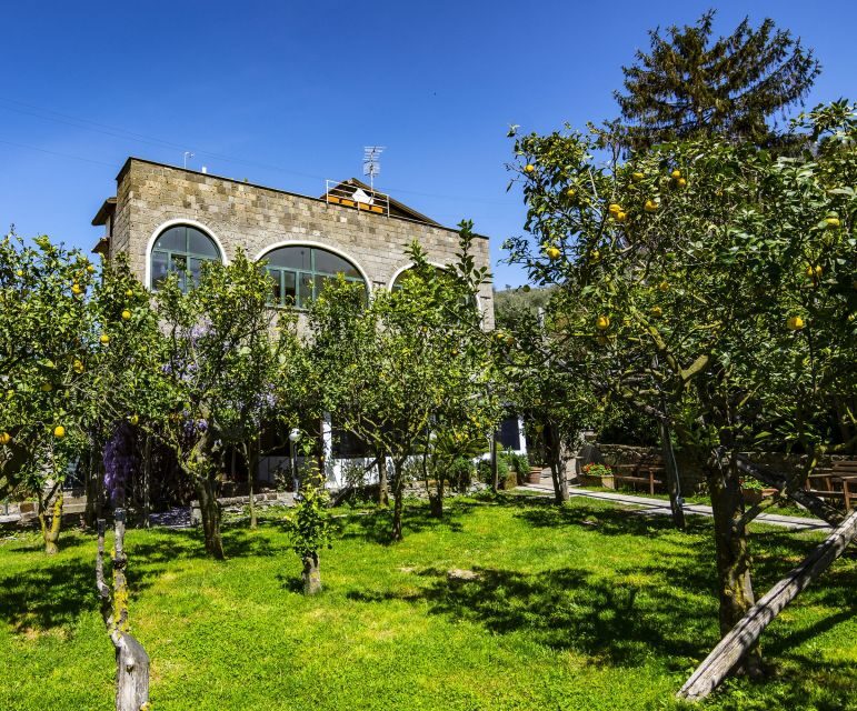 Sorrento: Coast E-Bike Tour with Limoncello Tasting - FAQs