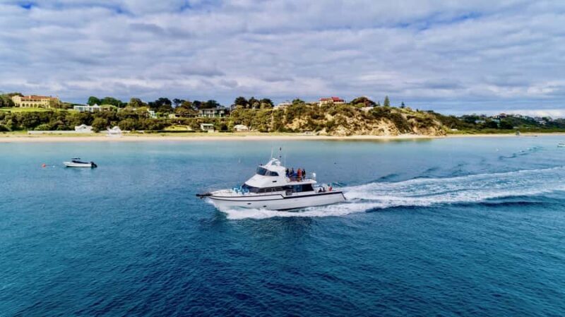 Sorrento: Dolphins & Seals Snorkeling Cruise w/ Lunch - The Food and Relaxation