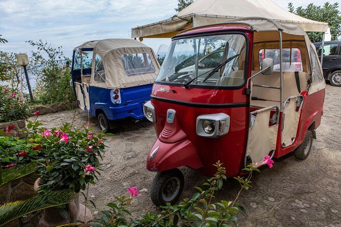 Sorrento Farm by Tuk Tuk: Cheese, Limoncello & Hands-On Pizza - FAQ
