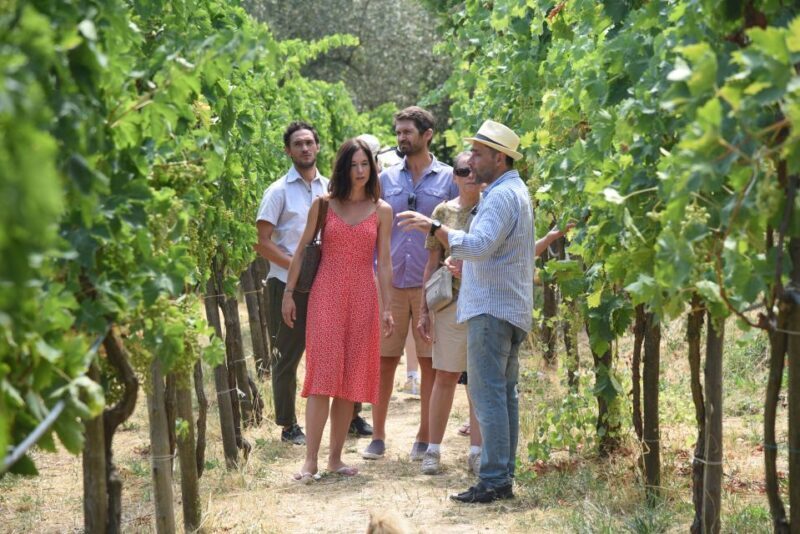 Sorrento: Farm Tour with Cheese Tasting & Pizza Making Class - Key Points