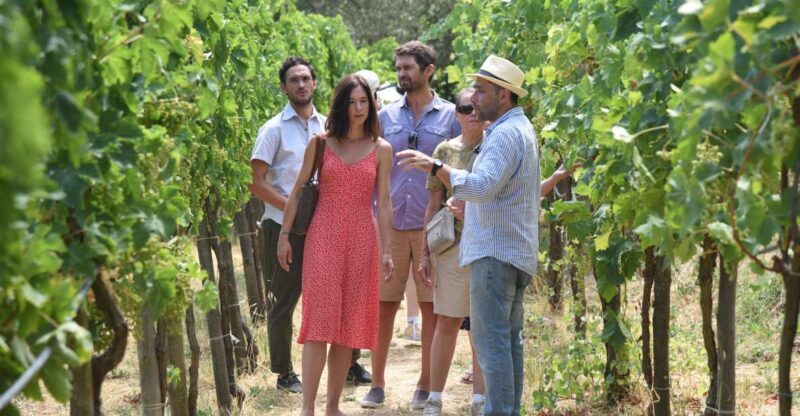 Sorrento: Farm Tour with Cheese Tasting & Pizza Making Class - An Honest Look at the Experience