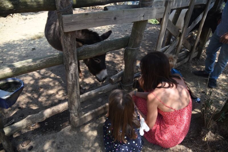 Sorrento: Farm Tour with Cheese Tasting & Pizza Making Class - Wrapping It Up