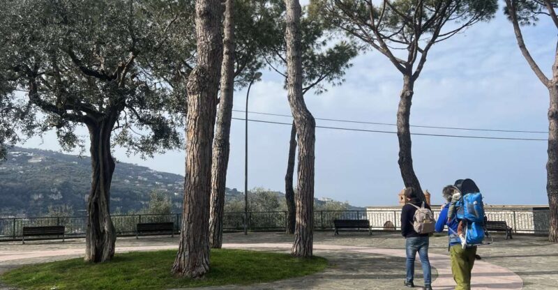 Sorrento: From the Hills to the Sea Hiking Tour - Exploring Sorrento from Hills to Sea