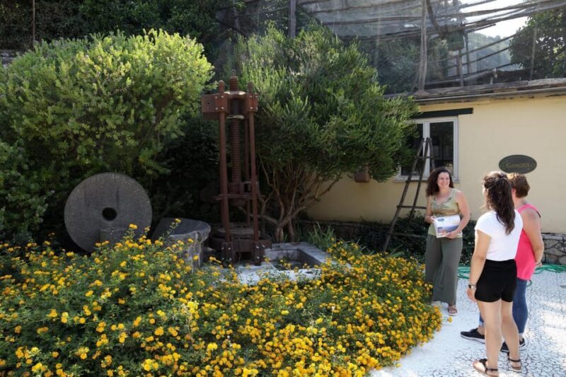 Sorrento: Guided Olive Mill Visit with Tastings - FAQ