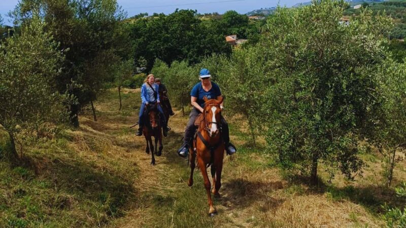 Sorrento: Horseback Riding Tour with Guide - The Value of the Experience