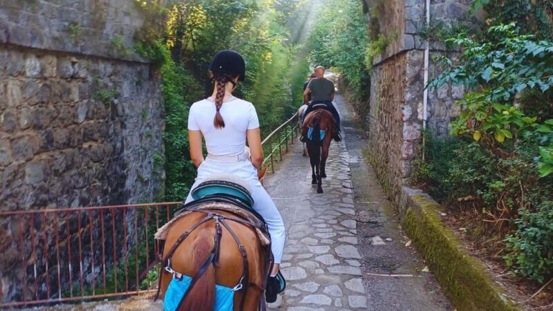 Sorrento: Horseback Riding Tour with Guide - FAQ