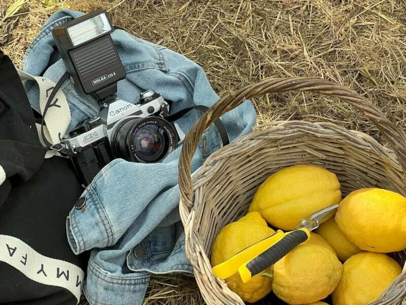 Sorrento: Lemon Tour with Limoncello Tasting - The Personal Touch of Local Guides