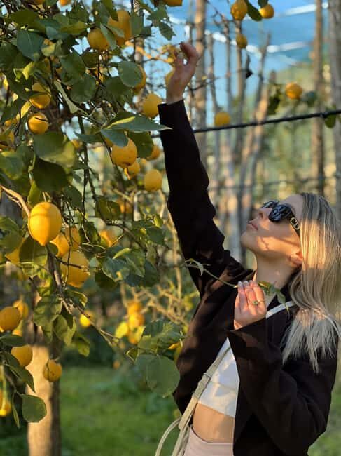 Sorrento: Lemon Tour with Limoncello Tasting - Value and Overall Impression