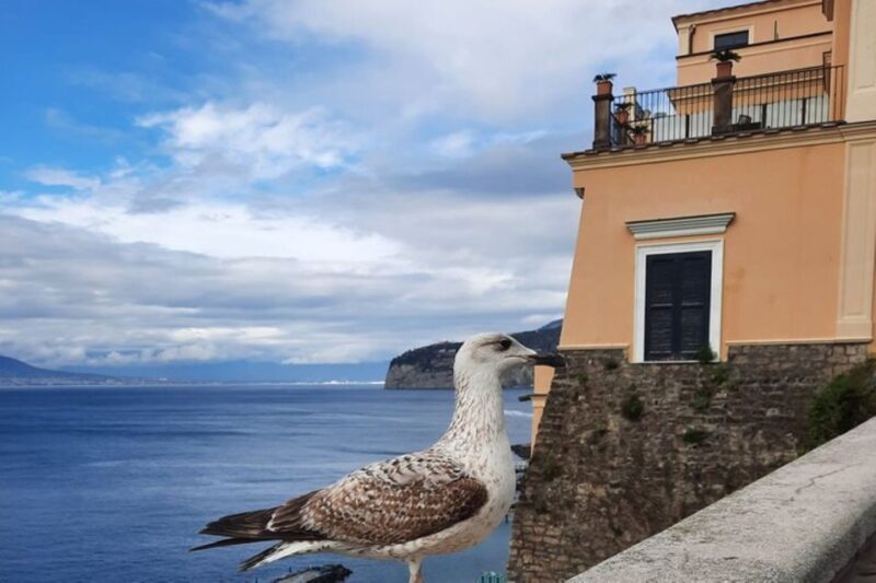 Sorrento: Private walking tour with stunning landscapes - The Sum Up: Who Should Consider This Tour?