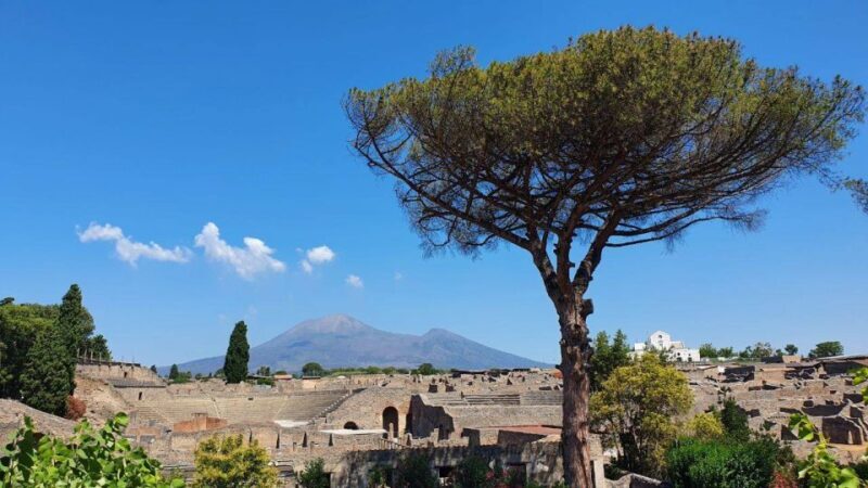 Sorrento: Skip-the-Line Pompeii Express Tour by Train - FAQ